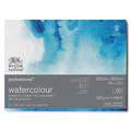WINSOR & NEWTON™ 100% Baumwolle Aquarellkarton Professional, 22,9 cm x 30,5 cm, fein, 300 g/m², Block mit 20 Blatt