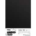 Clairefontaine Paint ON Zeichenpapier, schwarz, 50 cm x 65 cm, 250 g/m², Packung mit 10 Bogen