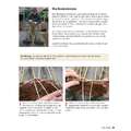 morepic-5