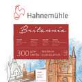 HAHNEMÜHLE 