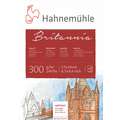 HAHNEMÜHLE 