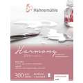 Hahnemühle Harmony Watercolour Aquarellpapier, matt, 8 cm x 10,5 cm, 300 g/m², Block (1-seitig geleimt)
