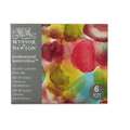 WINSOR & NEWTON™ Professional Watercolour Sets, 6 x 5 ml, Mindful Set