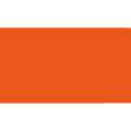 Pentel® Pointliner S40 Fineliner Colour Dye Ink , 0,4 mm, Orange