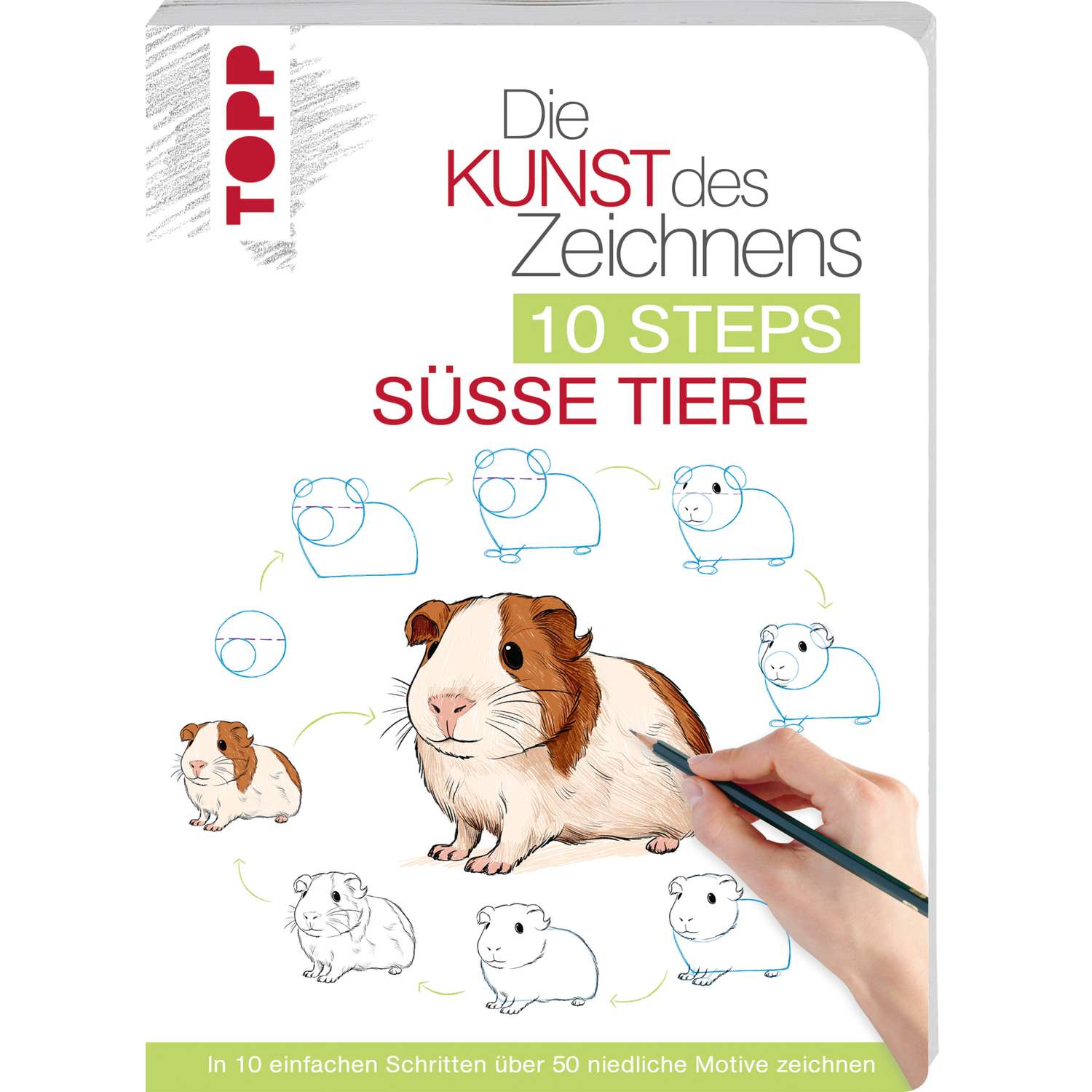 Die Kunst des Zeichnens 10 Steps - Süße Tiere