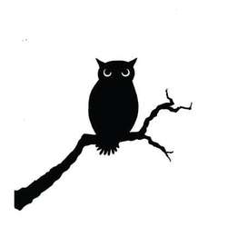 Lavinia Stempel, Owl