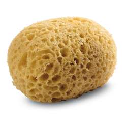 Royal & Langnickel Synthetik-Schwamm