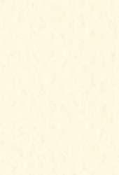 FABRIANO® Künstlerpapier Tiziano Pastellpapier, 50 cm x 65 cm, Crema