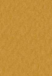 FABRIANO® Künstlerpapier Tiziano Pastellpapier, 50 cm x 65 cm, Terra di Siena