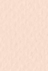 FABRIANO® Künstlerpapier Tiziano Pastellpapier, 50 cm x 65 cm, Rosa