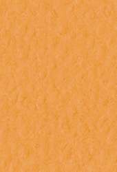 FABRIANO® Künstlerpapier Tiziano Pastellpapier, 50 cm x 65 cm, Arancio