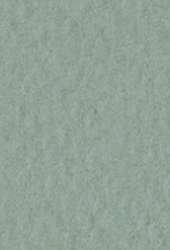 FABRIANO® Künstlerpapier Tiziano Pastellpapier, 50 cm x 65 cm, Salvia