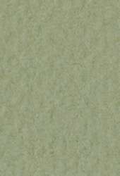 FABRIANO® Künstlerpapier Tiziano Pastellpapier, 50 cm x 65 cm, Muschio