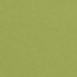 LANA Colours Künstlerpapier, 50 cm x 65 cm, Bogen, Grün