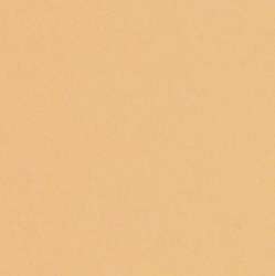 LANA Colours Künstlerpapier, 50 cm x 65 cm, Bogen, Auster