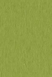 FABRIANO® Künstlerpapier Tiziano Pastellpapier, 50 cm x 65 cm, Pistacchio