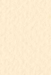 FABRIANO® Künstlerpapier Tiziano Pastellpapier, 50 cm x 65 cm, Banana