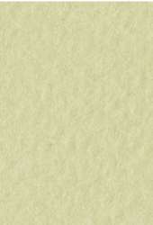 FABRIANO® Künstlerpapier Tiziano Pastellpapier, 50 cm x 65 cm, Verduzzo