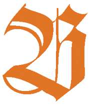 ROHRER & KLINGNER Antiktusche, 100-ml-Flasche, Apricot