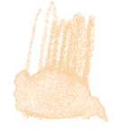 STAEDTLER® karat® Aquarell Aquarellstifte, einzeln, Farbstift, Pfirsich