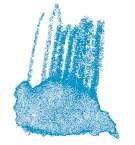 STAEDTLER® karat® Aquarell Aquarellstifte, einzeln, Farbstift, Cyan