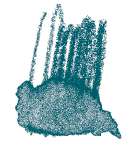 STAEDTLER® karat® Aquarell Aquarellstifte, einzeln, Farbstift, Hooker's Grün