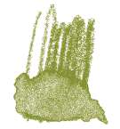 STAEDTLER® karat® Aquarell Aquarellstifte, einzeln, Farbstift, Olivgrün