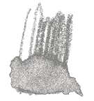 STAEDTLER® karat® Aquarell Aquarellstifte, einzeln, Farbstift, Kaltgrau 13