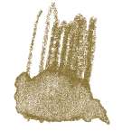 STAEDTLER® karat® Aquarell Aquarellstifte, einzeln, Farbstift, Ocker dunkel