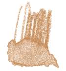 STAEDTLER® karat® Aquarell Aquarellstifte, einzeln, Farbstift, Rosenholz