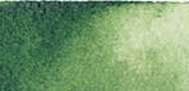 DANIEL SMITH Extra Fine Watercolor Sticks, Sap Green