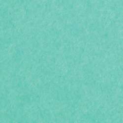 Clairefontaine Fotokarton Maya, 25er Packung, DIN A4, Tannengrün