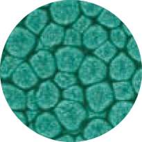 pébéo Fantasy Prisme, 45-ml, Smaragdgrün