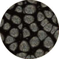 pébéo Fantasy Prisme, 45-ml, Onyx