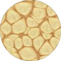 pébéo Fantasy Prisme, 45-ml, Altgold