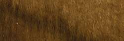 ROHRER & KLINGNER Aquarellfarbe, 12 ml, Umbra
