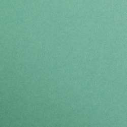 Clairefontaine MAYA farbiges Bastelpapier, Bogenware, 25er Packung, DIN A4, Tannengrün