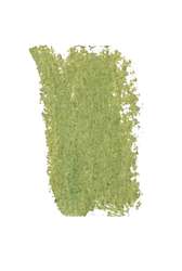 GIRAULT extrafeine Künstler-Pastellkreide, Pastellkreide, Gris vert mousse 170