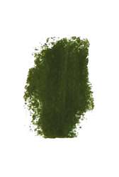 GIRAULT extrafeine Künstler-Pastellkreide, Pastellkreide, Vert feuilles 200