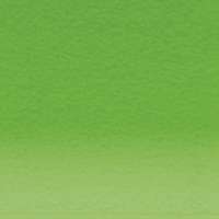 DERWENT Lightfast 100 % lichtechte Farbstifte auf Ölbasis, Einzelstift, Grass Green Light70%