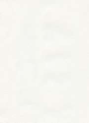 Hahnemühle The Collection Ingres Pastel Echt-Bütten, 10 Bogen, Packung mit 10 Bogen, Weiß