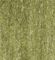 LYRA REMBRANDT® POLYCOLOR Künstler-Farbstift, einzeln, in Einzelfarben, Olivgrün