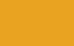 SCHMINCKE College® Linoldruckfarben, 75-ml-Tube, Gelborange