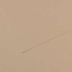 CANSON® Mi-Teintes® Farbiges Künstlerpapier, 50 cm x 65 cm, Hellgrau