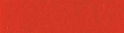 Rot