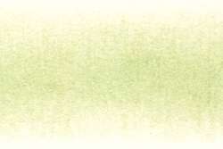 DERWENT Procolour Farbstifte, Farbstift, Light Moss 45