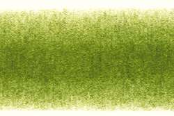 DERWENT Procolour Farbstifte, Farbstift, Moss Green 50