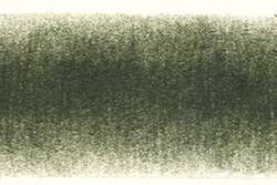 DERWENT Procolour Farbstifte, Farbstift, Cedar Green 48