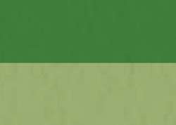 SENNELIER abstract® acrylic ink, Acryltusche, 30 ml, Lichtgrün