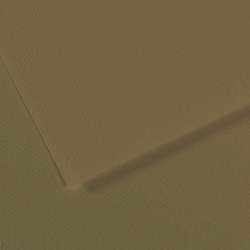 CANSON® Mi-Teintes® Farbiges Künstlerpapier, 50 cm x 65 cm, Olivgrün